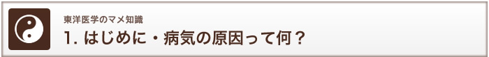 東洋医学のマメ知識 1. はじめに・病気の原因って何？