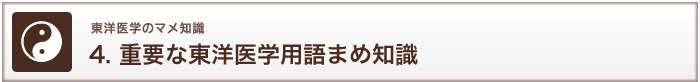 東洋医学のマメ知識 4. 重要な東洋医学用語まめ知識