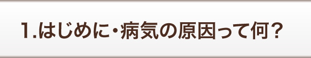 1.はじめに・病気の原因って何？