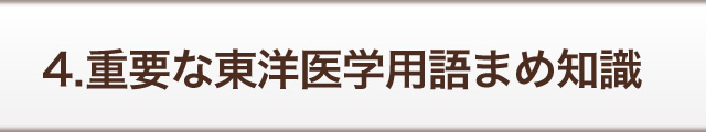 4. 重要な東洋医学用語まめ知識