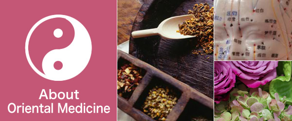 About Oriental Medicine
