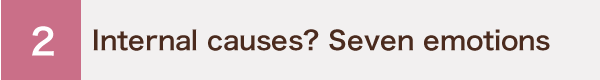 Internal causes ? Seven emotions