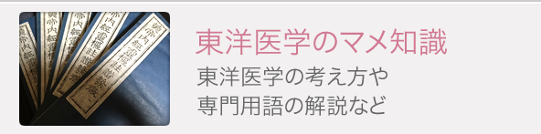 東洋医学のマメ知識 東洋医学の考え方や専門用語の解説など