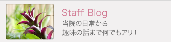 Staff Blog 当院の日常から趣味の話まで何でもアリ！